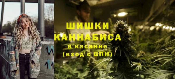 индика Пересвет